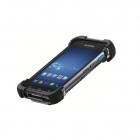 Bluebird Pidion BP30
